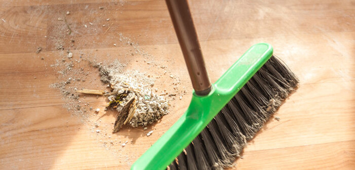 Post-Construction Services of Now It's Clean 155 Beecroft Road - Photo 2 of 8