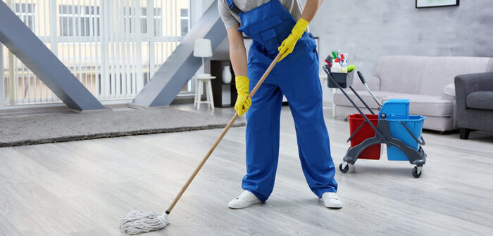 Apartment and Condo Services of Now It's Clean 155 Beecroft Road - Photo 6 of 8