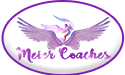  Profile Photos of Meier VIP Coaches & Limo's 14 Dakara Drive - Photo 1 of 1