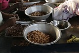  Wholesale Nuts And Dried Fruit 9450 SW Gemini Dr 