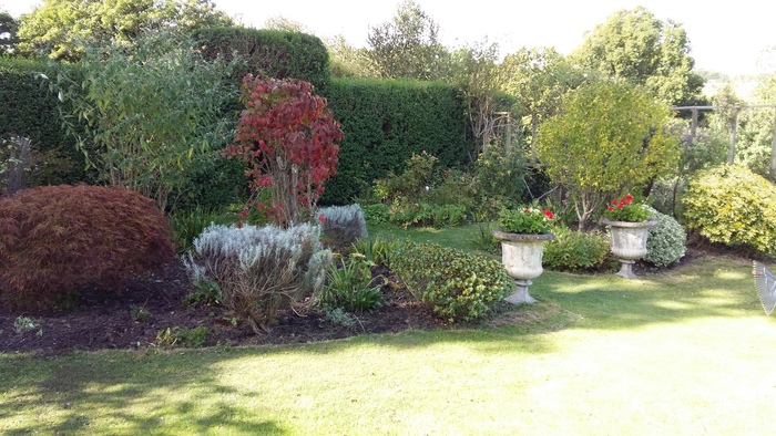  Profile Photos of Greenscape Services 31 Greenacres - Photo 2 of 7