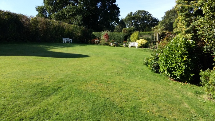  Profile Photos of Greenscape Services 31 Greenacres - Photo 3 of 7