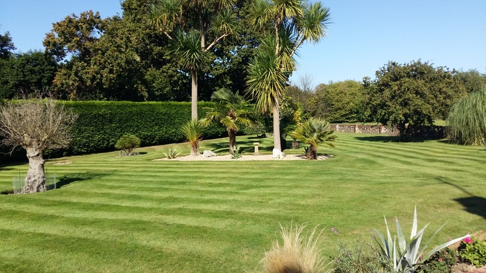  Profile Photos of Greenscape Services 31 Greenacres - Photo 4 of 7