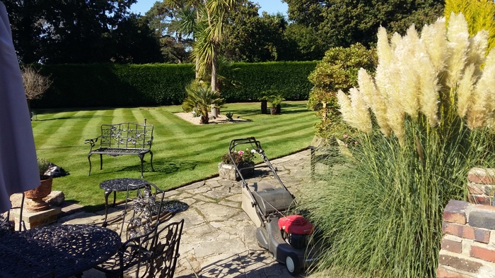  Profile Photos of Greenscape Services 31 Greenacres - Photo 5 of 7