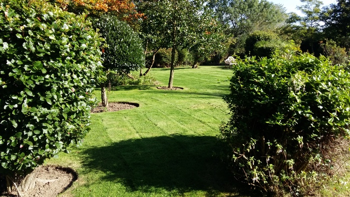  Profile Photos of Greenscape Services 31 Greenacres - Photo 6 of 7
