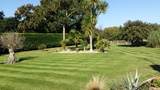 Greenscape Services, Westfield