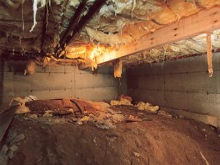  New Album of Sebring Crawl Space Repair 510 Grapefruit Ave #10a - Photo 2 of 3