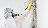 Mighty Oaks Mold Inspections, Jasper