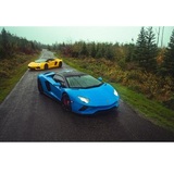 Zadart Exotic Car Club & Rentals, Bellevue