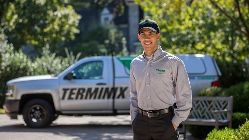  Profile Photos of Terminix Canada 24 Mews Place - Photo 2 of 4
