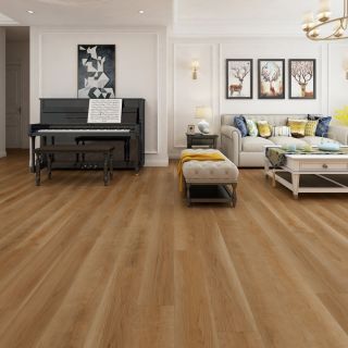  New Album of Gaia Flooring 40577 Albrae St Ste F - Photo 2 of 4