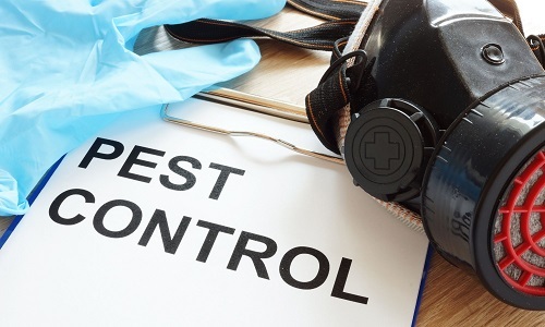  Profile Photos of Large Swamp Pest Control 2015 Gateway Dr - Photo 1 of 1