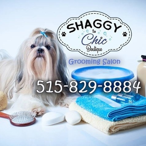  Profile Photos of Shaggy to Chic Boutique 650 S 50th St, Unit 100 - Photo 1 of 2