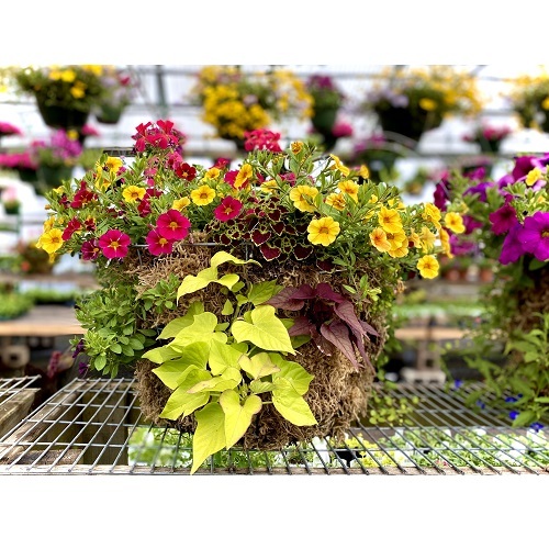  Profile Photos of Hunters Garden Centre 2560 West Broadway - Photo 2 of 4