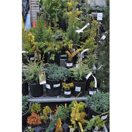  Profile Photos of Hunters Garden Centre 2560 West Broadway - Photo 4 of 4