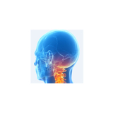  Upper Cervical Chiropractic Care of Spartanburg 8646 Asheville Highway , SC 