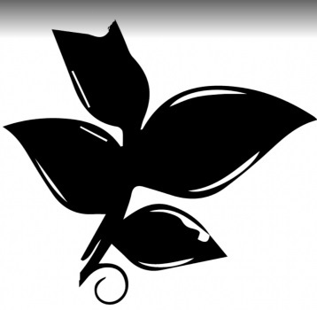  Profile Photos of Lees Summit Retreat Hair Salon & Spa 1175 Southeast Oldham Parkway - Photo 1 of 3