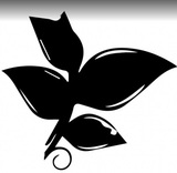 Lees Summit Retreat Hair Salon & Spa, Lee's Summit