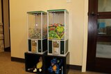 Freebies for children at Sevn Hills Dentistry Dallas GA Seven Hills Dentistry 1305 Cedarcrest Rd #115 