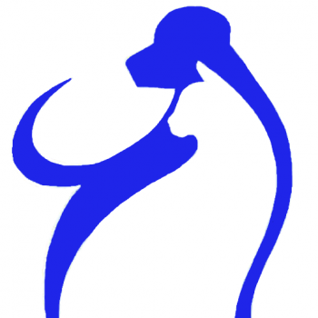  Profile Photos of Easton Animal Hospital 2959 Stelzer Rd - Photo 1 of 4