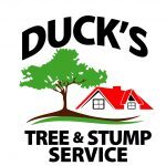 Duck's Tree and Stump Service, Aurora