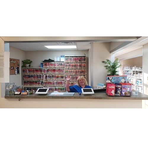  Profile Photos of Vista Hills Animal Hospital 398 S Emerson Ave - Photo 2 of 4
