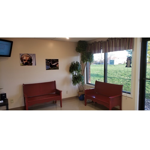  Profile Photos of Vista Hills Animal Hospital 398 S Emerson Ave - Photo 3 of 4