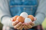  Daybreak Farms Eggs 4423 Eby St 