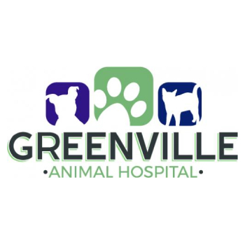  Profile Photos of Greenville Animal Hospital 2625 W Washington St - Photo 1 of 4