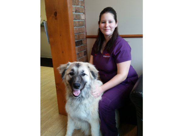  Profile Photos of Greenville Animal Hospital 2625 W Washington St - Photo 4 of 4