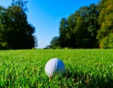 Golf Lessons with Trevon Branch, Butler