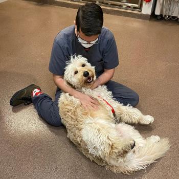  New Album of Alicia Pacific Veterinary Center 30051 Alicia Parkway - Photo 3 of 3