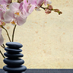  Profile Photos of Align Holistic Health Clinic Inc 8131 Yonge St, #208 - Photo 1 of 1