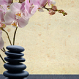Align Holistic Health Clinic Inc, Thornhill