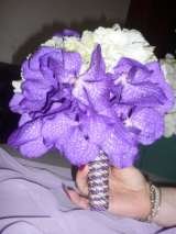  Dramun Mariage str.Poiana Narciselor sect.1 