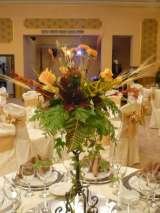  Dramun Mariage str.Poiana Narciselor sect.1 