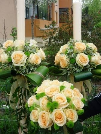  Profile Photos of Dramun Mariage str.Poiana narciselor ,sect.1 - Photo 18 of 76