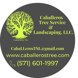Caballeros Tree Service & Landscaping, LLC., Vienna