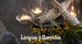 Te despojamos de la mala suerte, el mal de ojo y las maldiciones. Nuestras limpias y barridas son 100% garantizadas. 
Ingresa a nuestra pÃ¡ginal web: https://maestrosespirituales.com/limpias-y-barridas-chicago/
Limpias y barridas, limpieza espiritual Ch, Botanica Maestros Espirituales, Chicago
