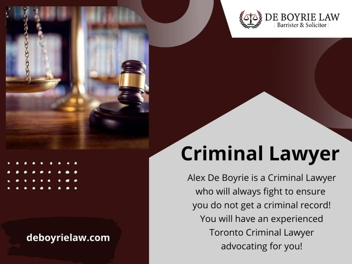  New Album of De Boyrie Law 100 King Street West Suite 5600 - Photo 7 of 7