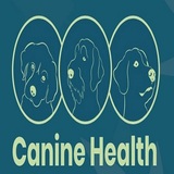 Canine Health, Otley