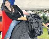  Party Fun Hire Pentstemon drive 