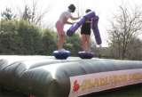  Party Fun Hire Pentstemon drive 