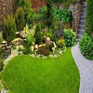  Profile Photos of Coopers Landscape and Maintenance LLC 14605 16th Ave W - Photo 4 of 5