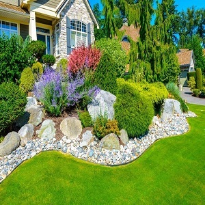  Profile Photos of Coopers Landscape and Maintenance LLC 14605 16th Ave W - Photo 5 of 5