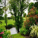 Coopers Landscape and Maintenance LLC, Lynnwood