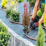 Coopers Landscape and Maintenance LLC, Lynnwood