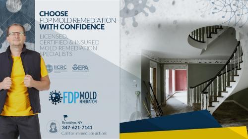  Profile Photos of FDP Mold Remediation of Brooklyn 184 Noll St - Photo 2 of 2