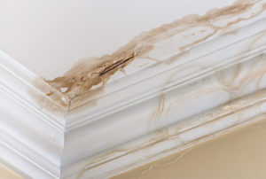  Profile Photos of Remedics Restoration Carolinas 12245 Nations Ford Rd - Photo 1 of 5
