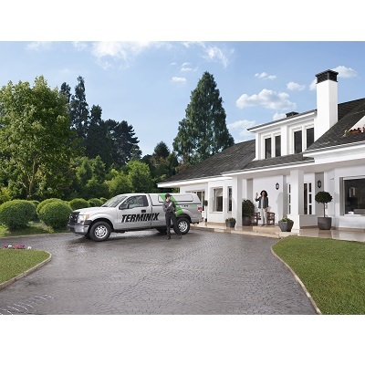  Profile Photos of Terminix 745 North Drive, Suite F - Photo 4 of 5